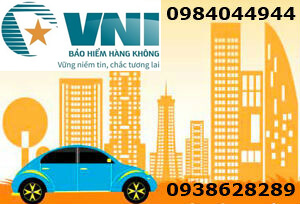 cong-ty-dai-ly-ban-bao-hiem-dan-su-bat-buoc-vat-chat-pvi-bao-viet-mic-bsh-hang-khong.jpg